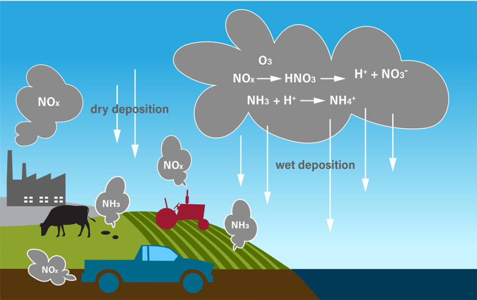 Atmospheric Deposition & Clean Machines Playbook for Healthy