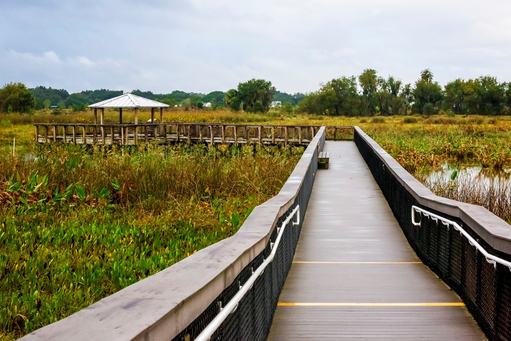 8.1 Restore and enhance wetland and shoreline habitats to increase